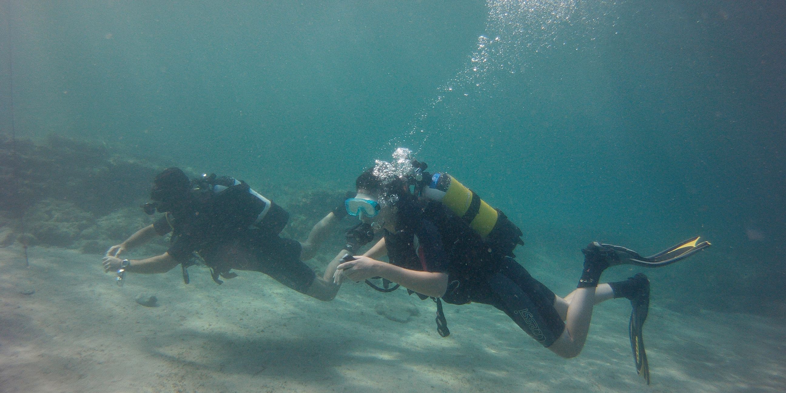 freiwilligenarbeit-spanien-denia-naturschutz-europa-tauchen-natucate