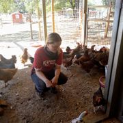 erfahrungsberichte-freiwilligenarbeit-usa-vegan-farm-sandra-huehner