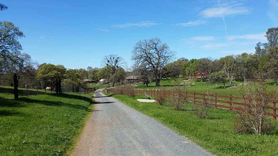 projektbesuch-freiwilligenarbeit-usa-kalifornien-vegan-farm-natucate-on-tour-blog-natucate