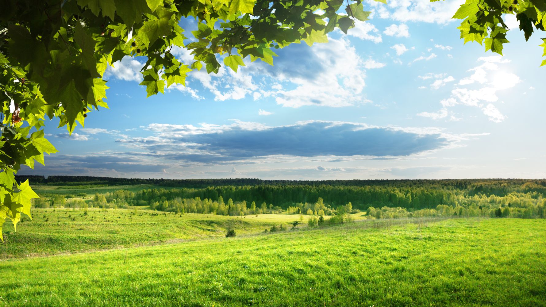 blog-ratgeber-usa-mittlerer-westen-gruene-wiese-natucate