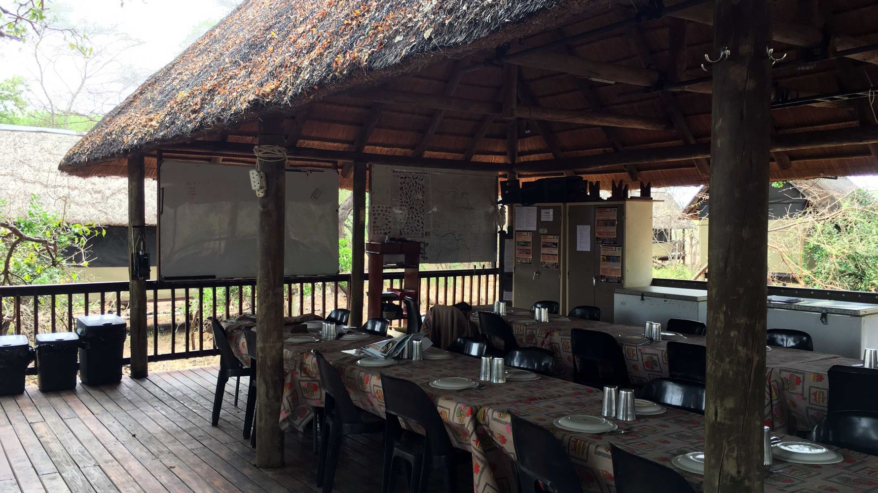 erfahrungsbericht-ecoquest-afrika-melanie-camp-makuleke-natucate