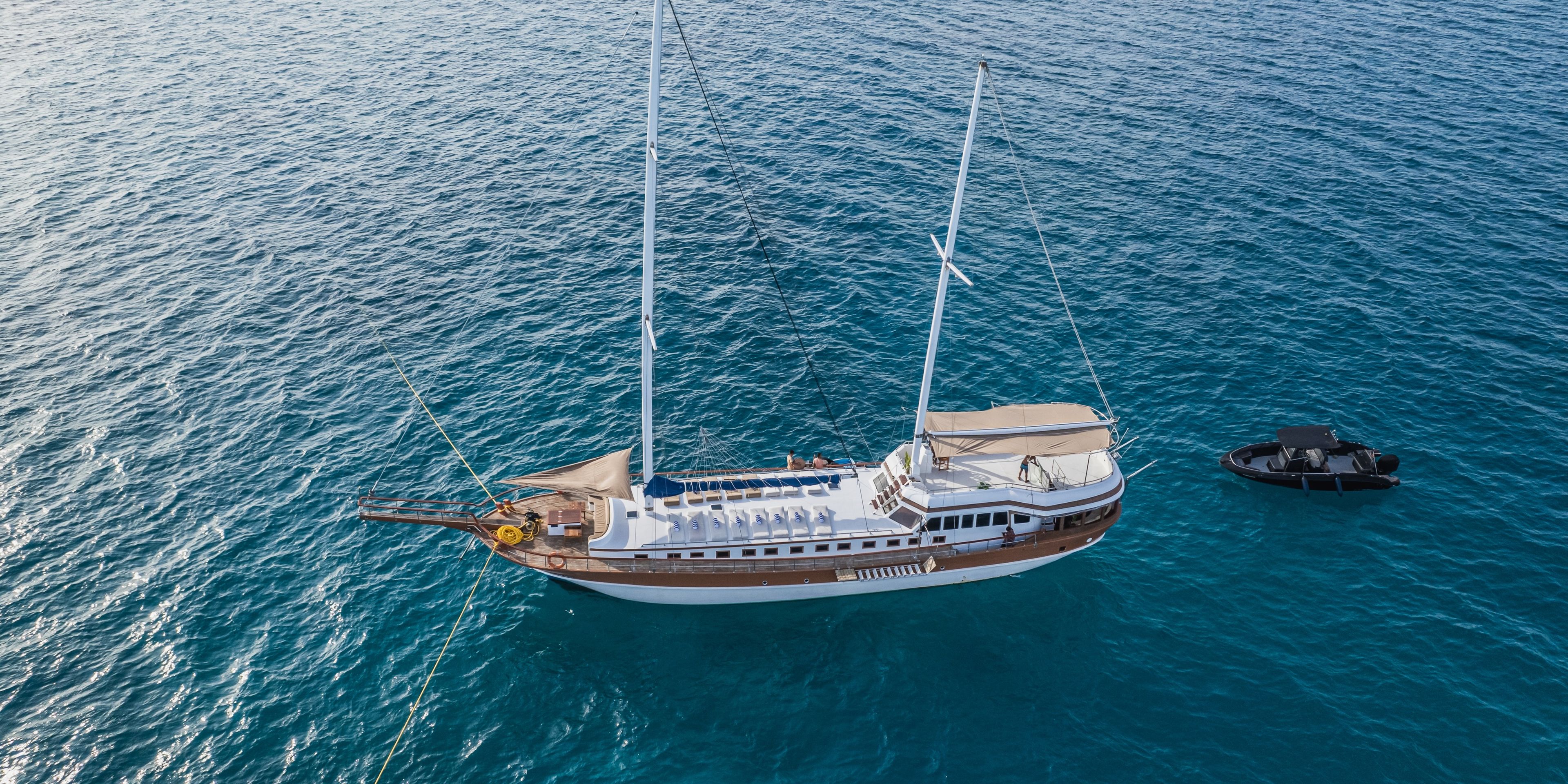 Akoya Pearl von oben