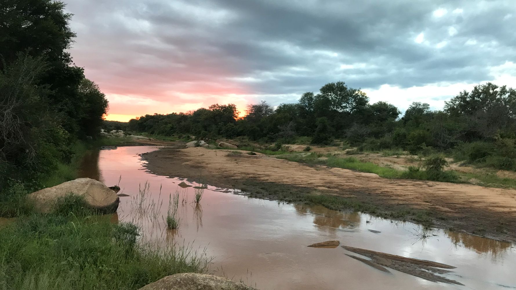 erfahrungsberichte-rangerkurse-suedafrika-field-guide-level-1-nadine-flussbett-sonnenuntergang-natucate