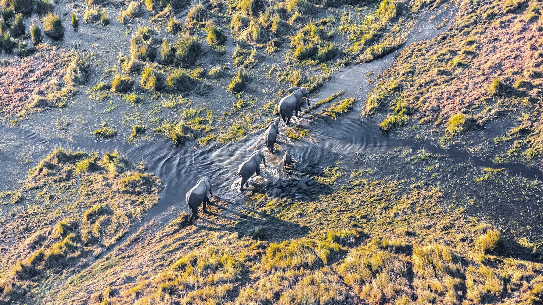 blog-reiseorte-botswana-mababe-elefanten