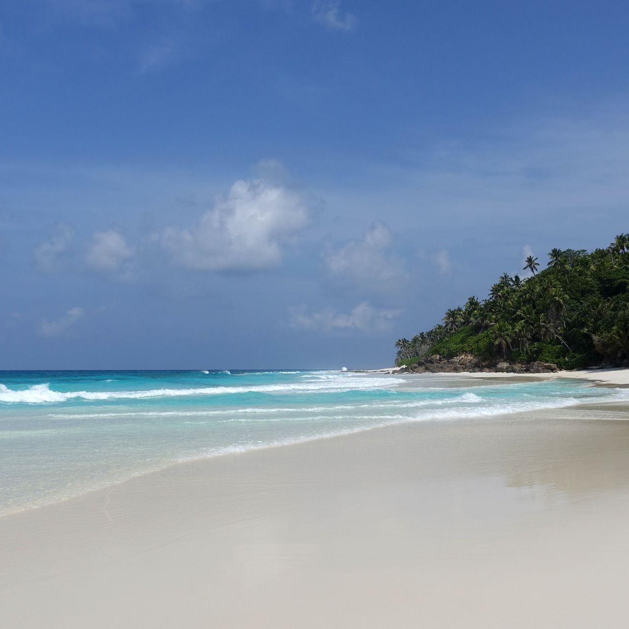 freiwilligenarbeit-seychellen-erfahrungsbericht-strand-artenschutz-natucate