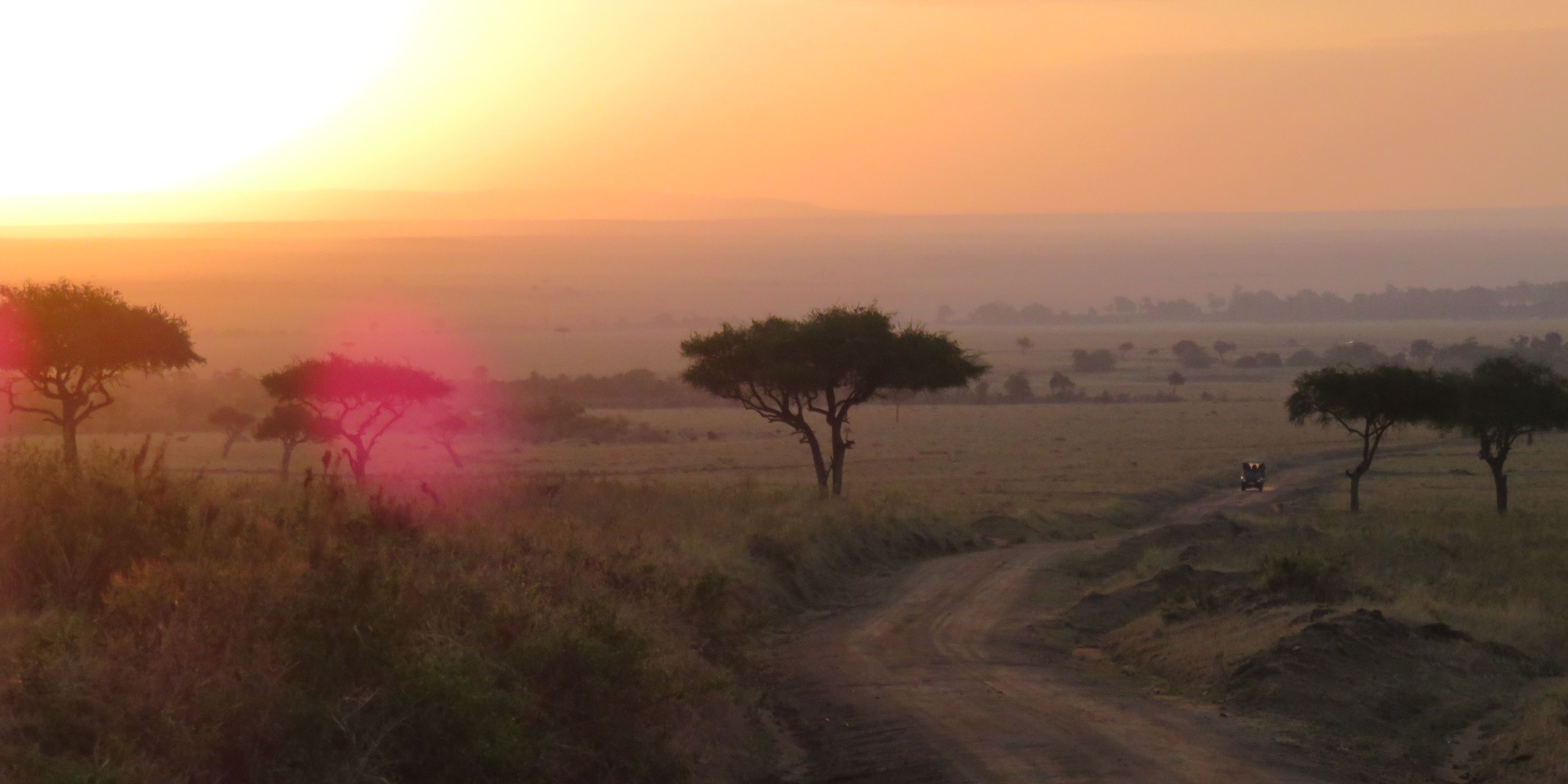 Ausblick auf die Masai Mara bei Abendsonne im Rahmen eines Rangerkurses