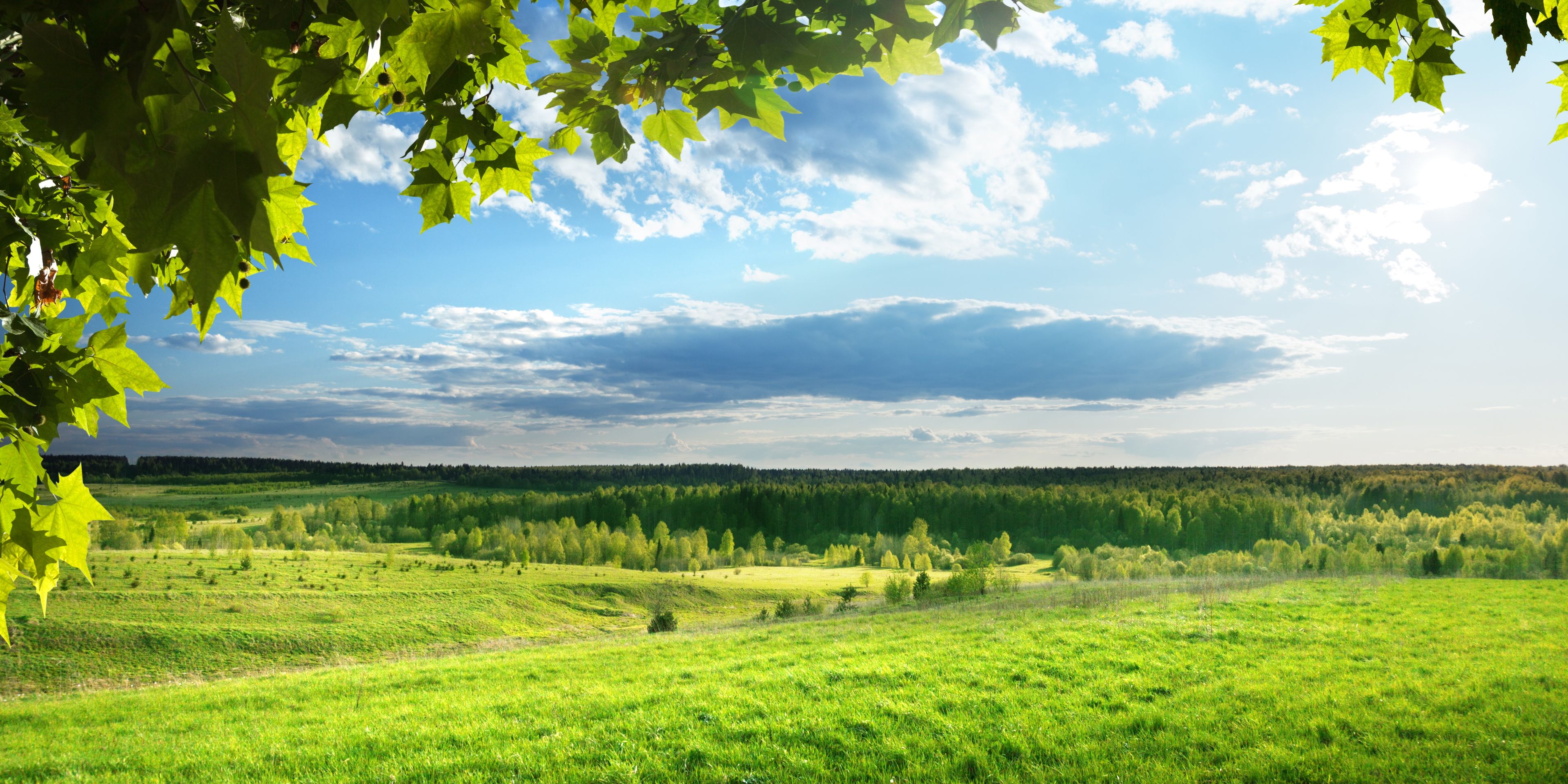Winzerpraktikum in den USA: Blick auf die Weinregion Nordamerikas