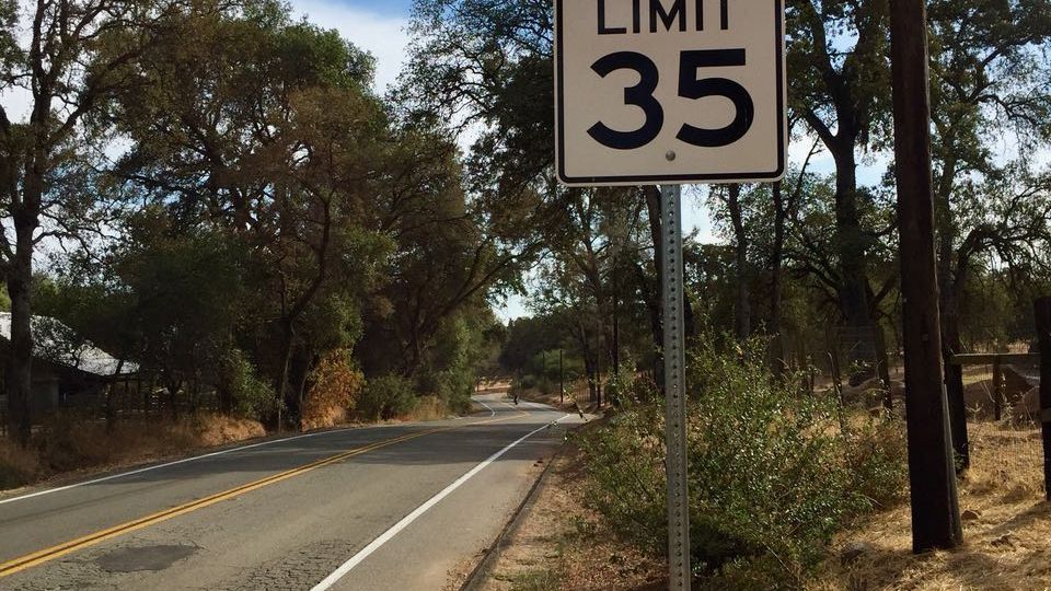freiwilligenarbeit-usa-kalifornien-erfahrungsbericht-tierschutz-strasse-natucate