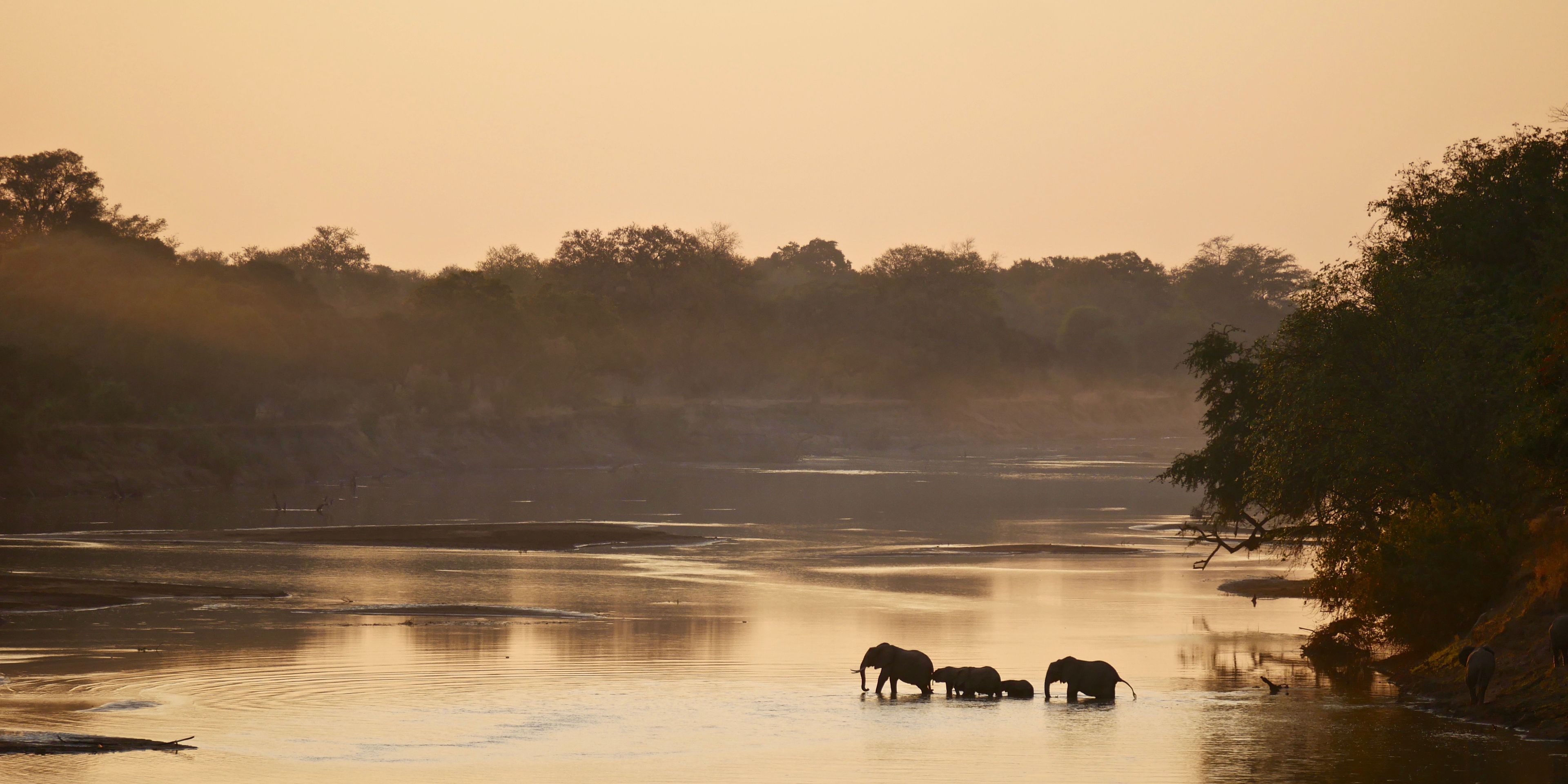 natucate-safari-simbabwe-off-the-beaten-path-zambesi-river-elephants-sunset