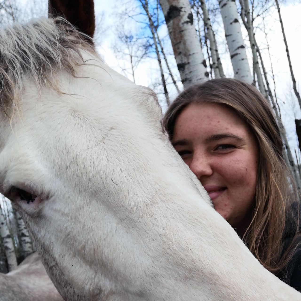 erfahrungsbericht-freiwilligenarbeit-kanada-alberta-pferdeschutz-pferd-schimmel-luisa-natucate