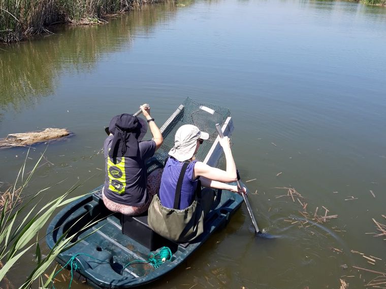erfahrungsberichte-freiwilligenarbeit-spanien-valencia-kerstin-floss