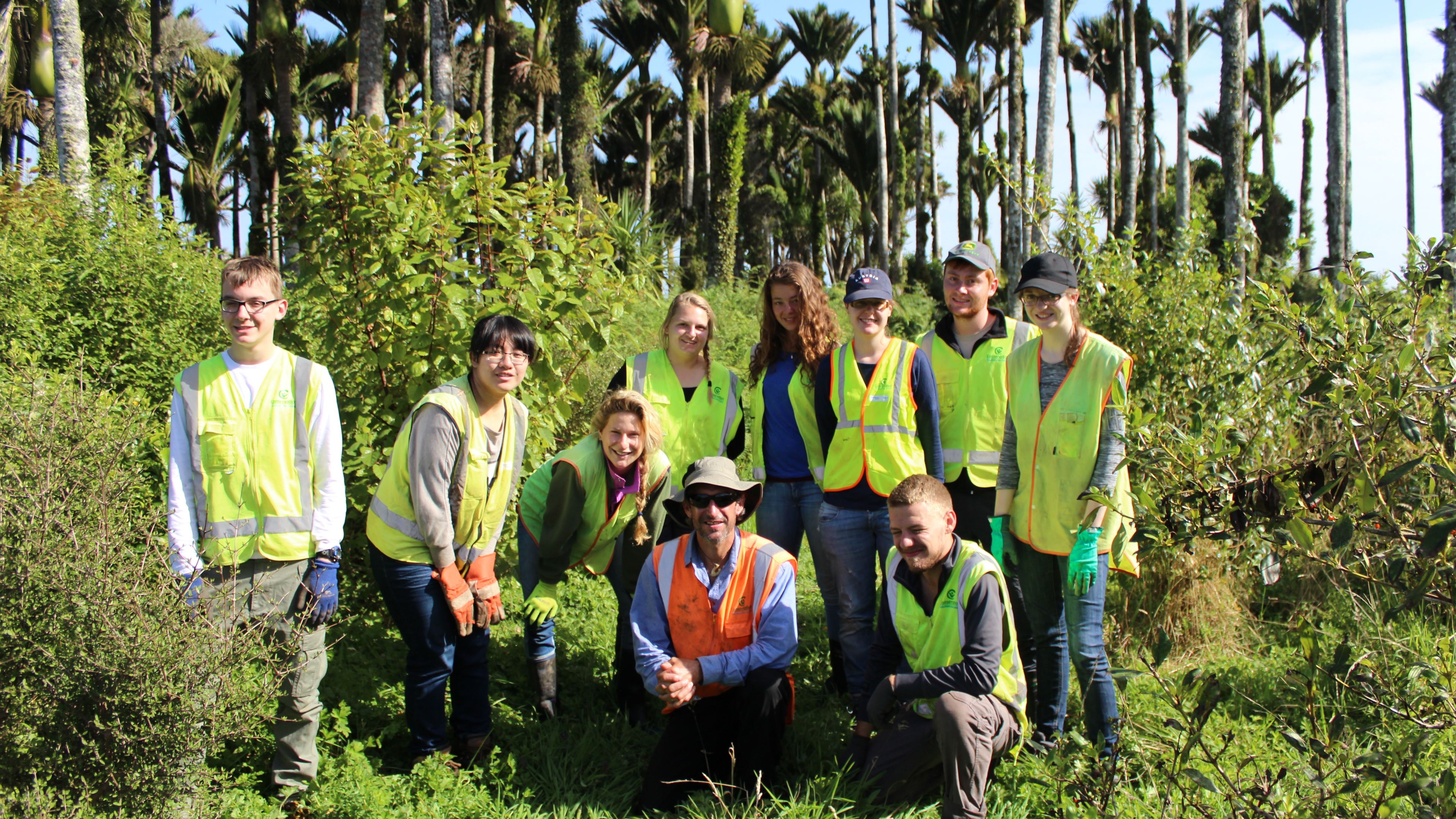 freiwilligenarbeit-neuseeland-punakaiki-volunteer-gruppe-natucate