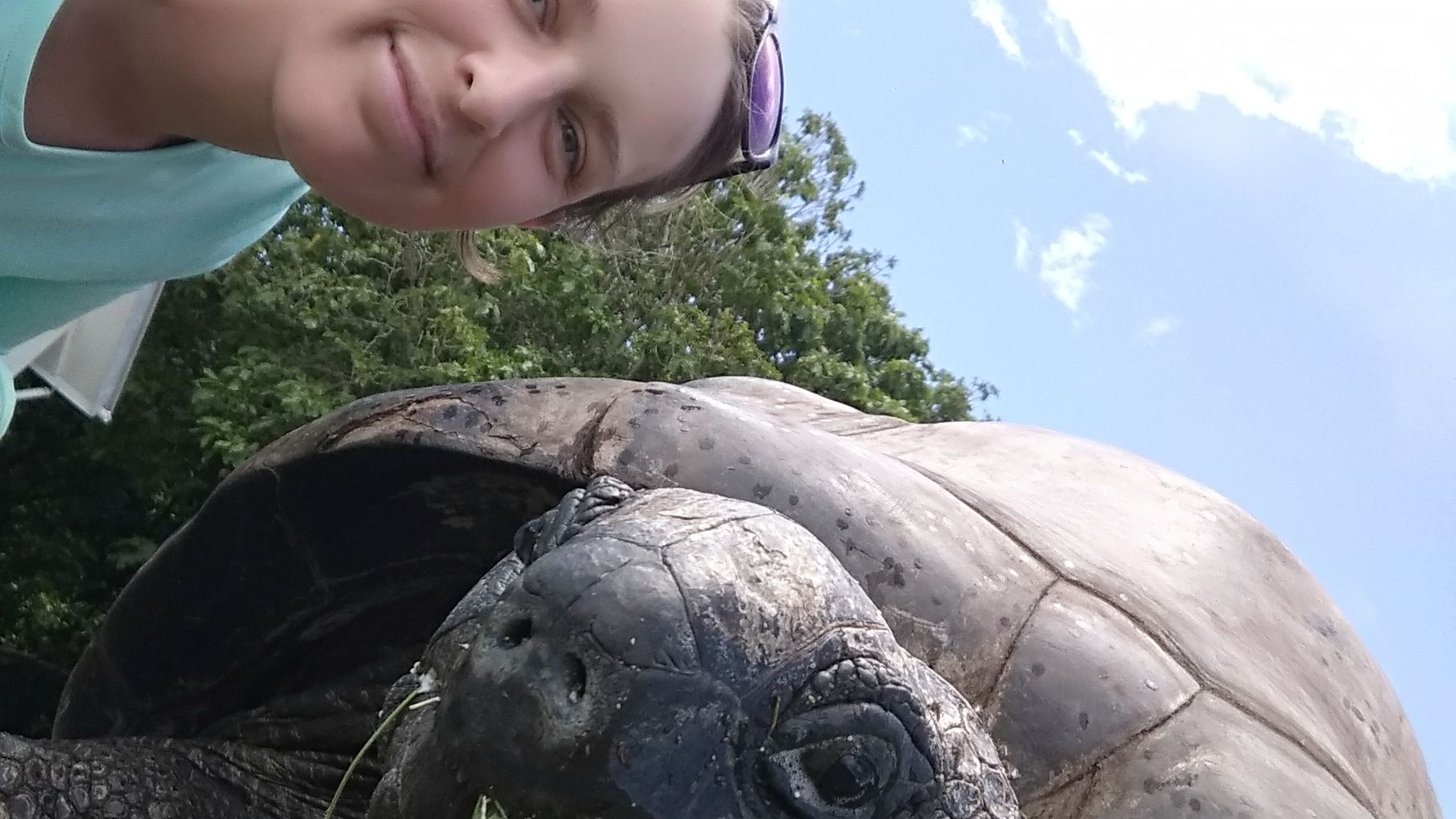 erfahrungsberichte-freiwilligenarbeit-seychellen-cousin-island-lisa-schildkroete-natucate
