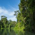 costa-rica-laenderinformationen-tortuguero-nationalpark-natucate
