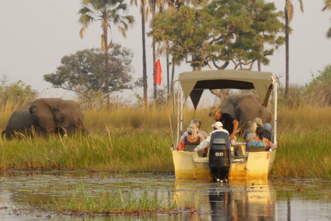safari-botswana-abenteuer-okavango-delta-bootsfahrt-tierbeoachtung-natucate