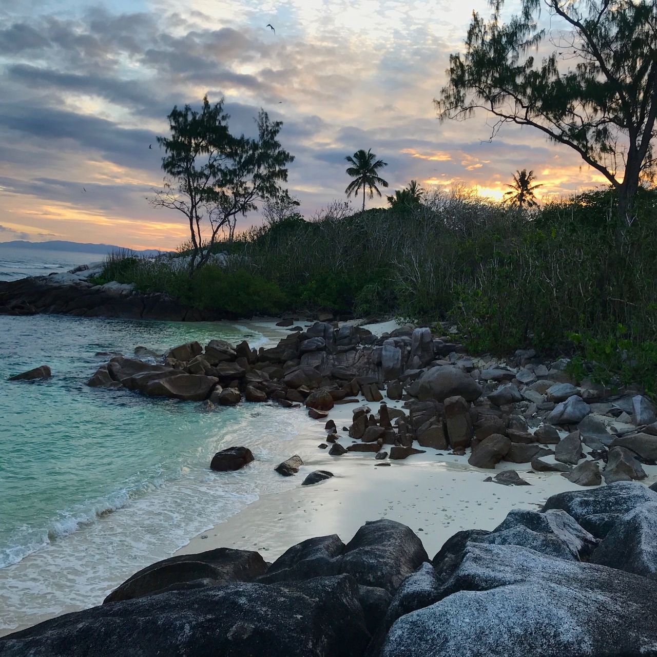 erfahrungsberichte-freiwilligenarbeit-seychellen-cousin-island-artenschutz-kai-meer-felsen-natucate