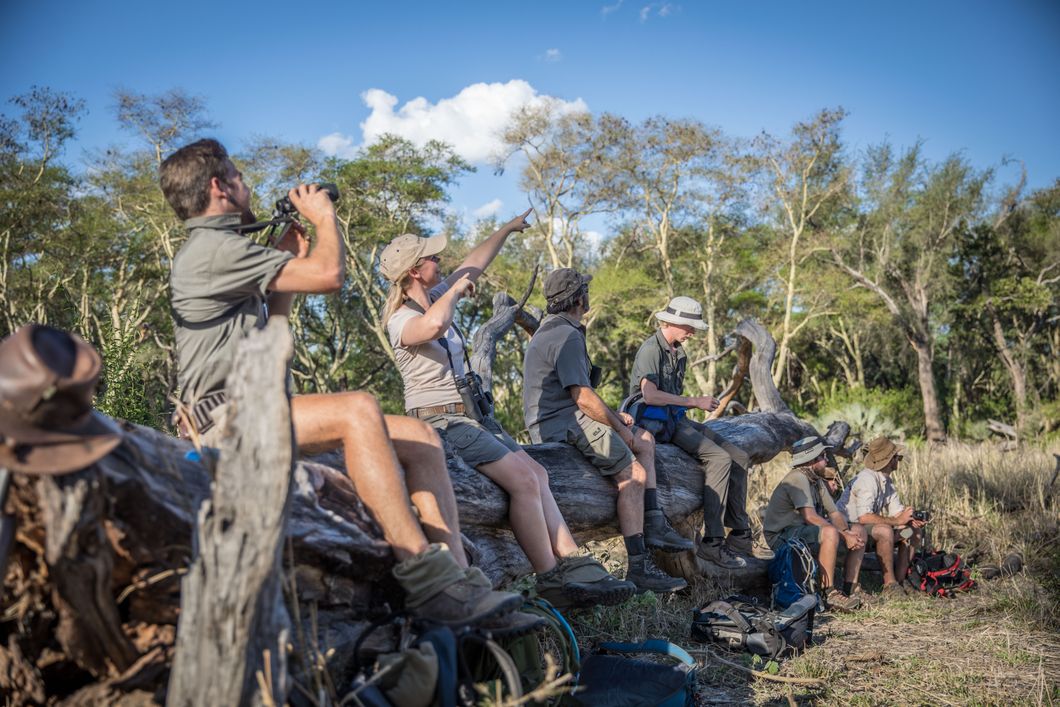 Eine Gruppe von Teilnehmern sitzt auf einem umgefallenen Baumstamm und beobachtet die Umgebung per Fernglas