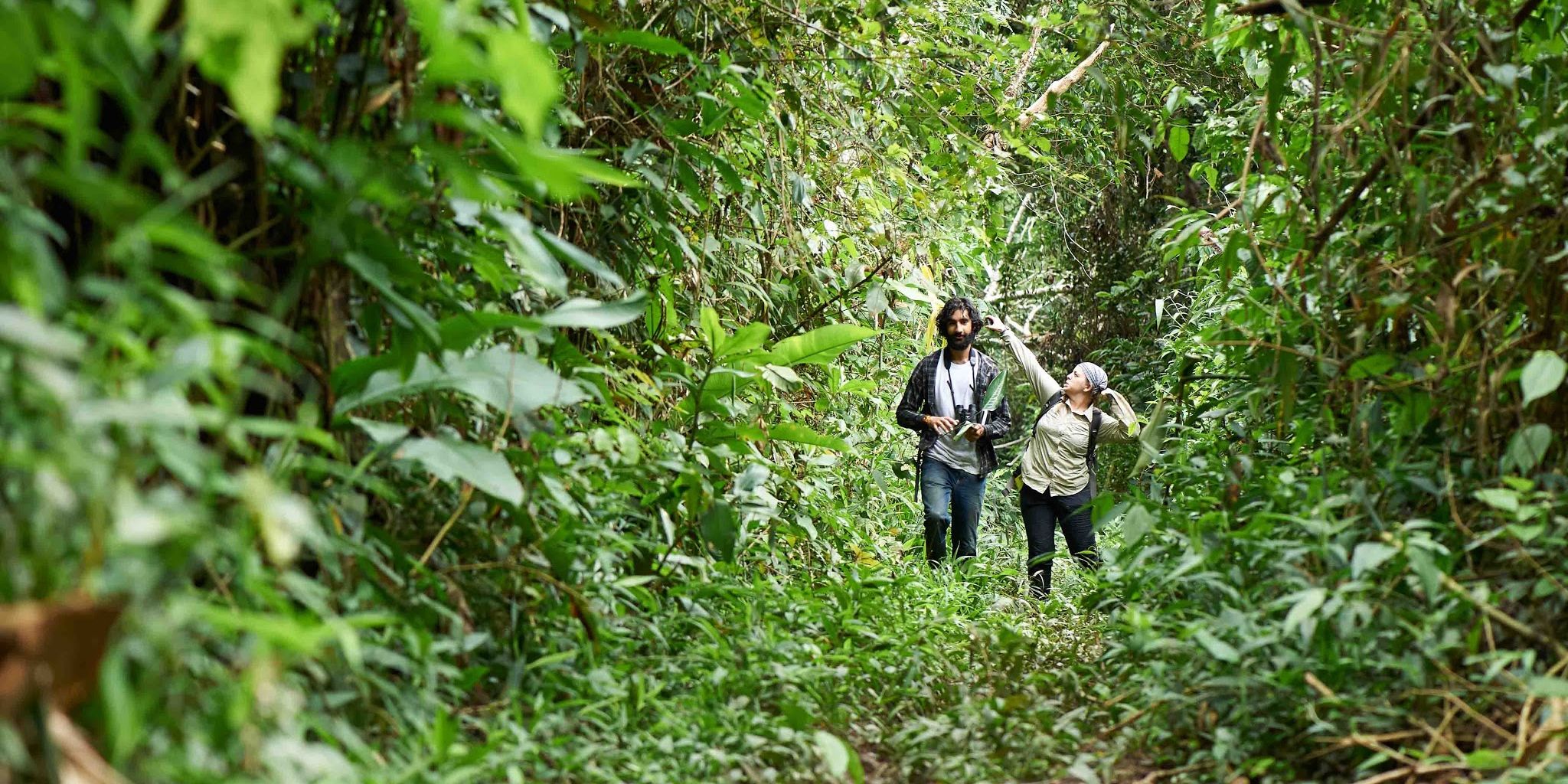 Zwei Teilnehmer entdecken des peruanischen Regenwald