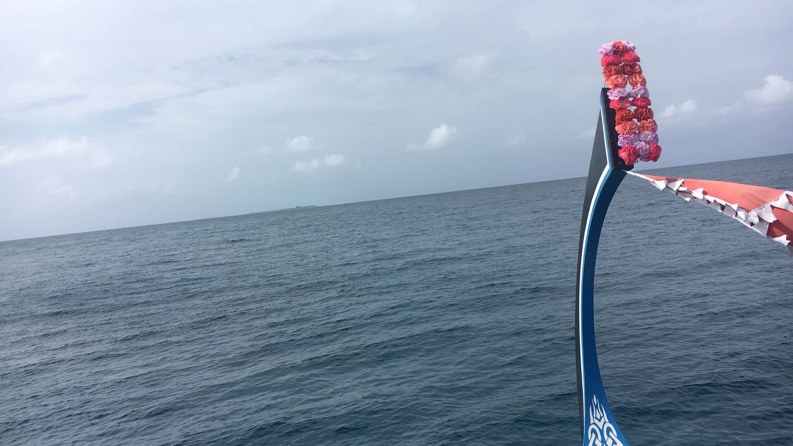 freiwilligenarbeit-malediven-erfahrungsbericht-artenschutz-boot-natucate