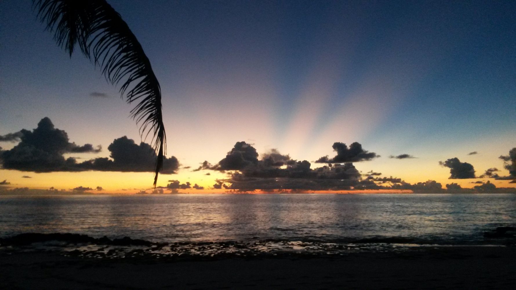 freiwilligenarbeit-seychellen-erfahrungsbericht-strand-sonne-artenschutz-natucate