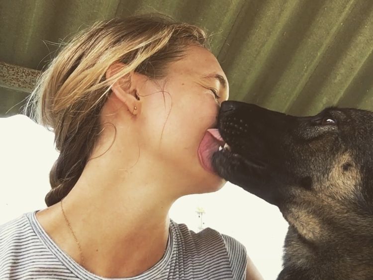 Volunteering in Thailand: Eine Freiwillige spielt mit einem Hund