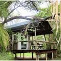 reiseorte-botswana-xaro-camp