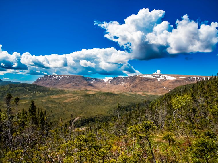 natucate-blog-project-visit-canada-header