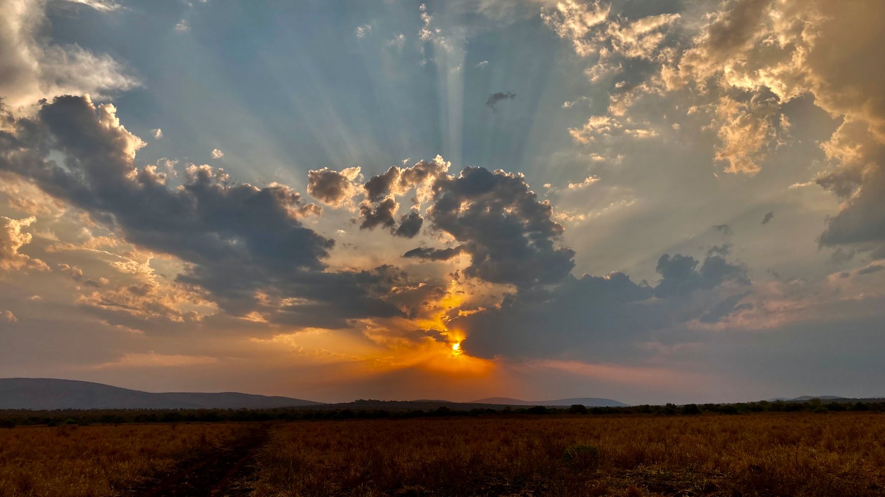 erfahrungsberichte-rangerkurs-field-guide-level-1-afrika-elke-sonne-natucate