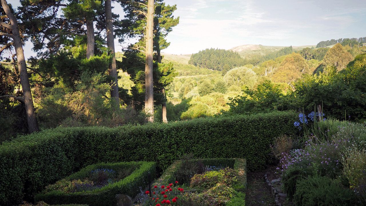 erfahrungsbericht-freiwilligenarbeit-naturschutz-neuseeland-nancy-garten-natucate