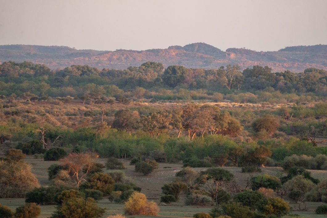 natucate-guide-course-south-africa-et-svenja-mashatu-landscape