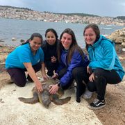 erfahrungsberichte-freiwilligendienst-griechenland-annalena-schildkroeten-team