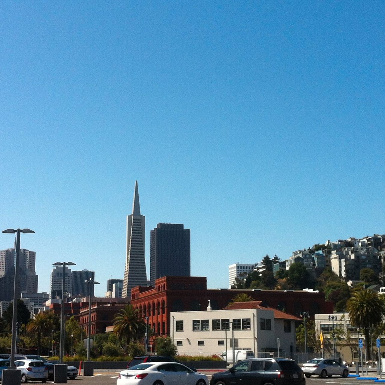 freiwilligenarbeit-usa-kalifornien-erfahrungsbericht-naturschutz-innenstadt-natucate