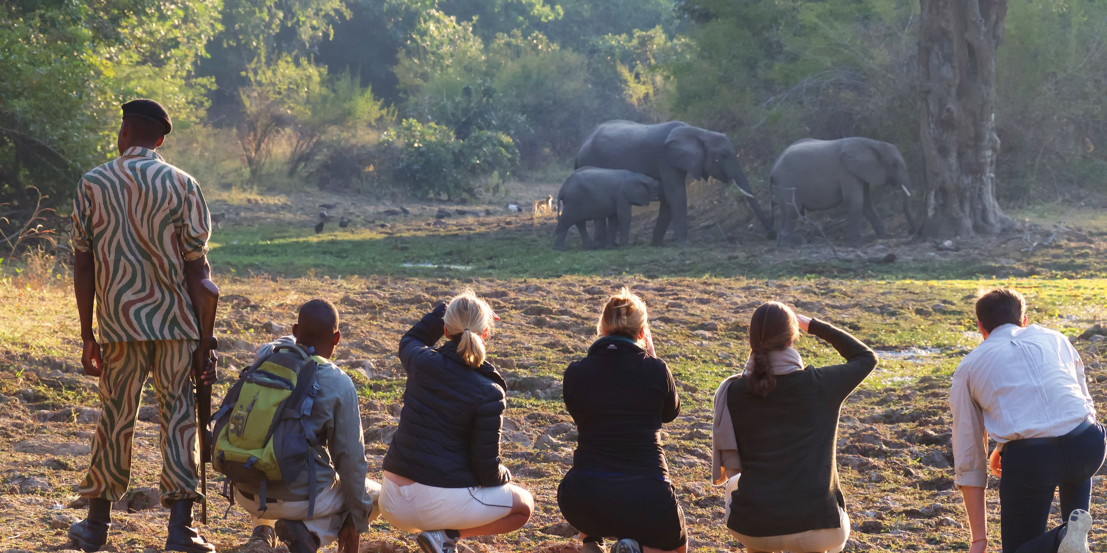 safari-sambia-south-luangwa-lower-zambezi-walking-safari-natucate
