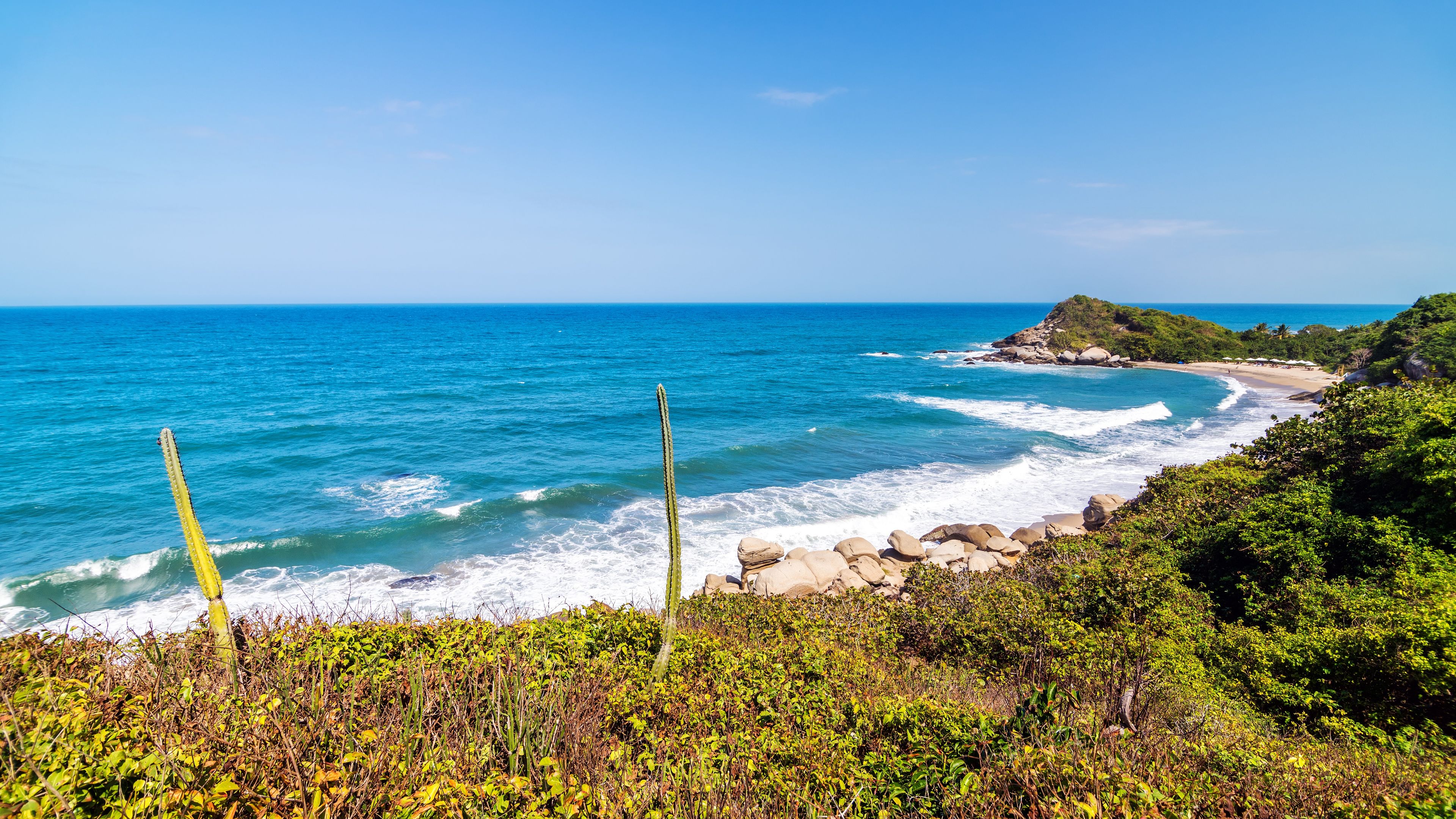 natur-und-rangerkurs-florida-usa-haiforschung-bucht-natucate