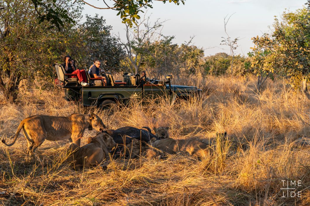 safari-sambia-south-luangwa-lower-zambezi-game-drive-loewen-rudel-sonnenuntergang-natucate