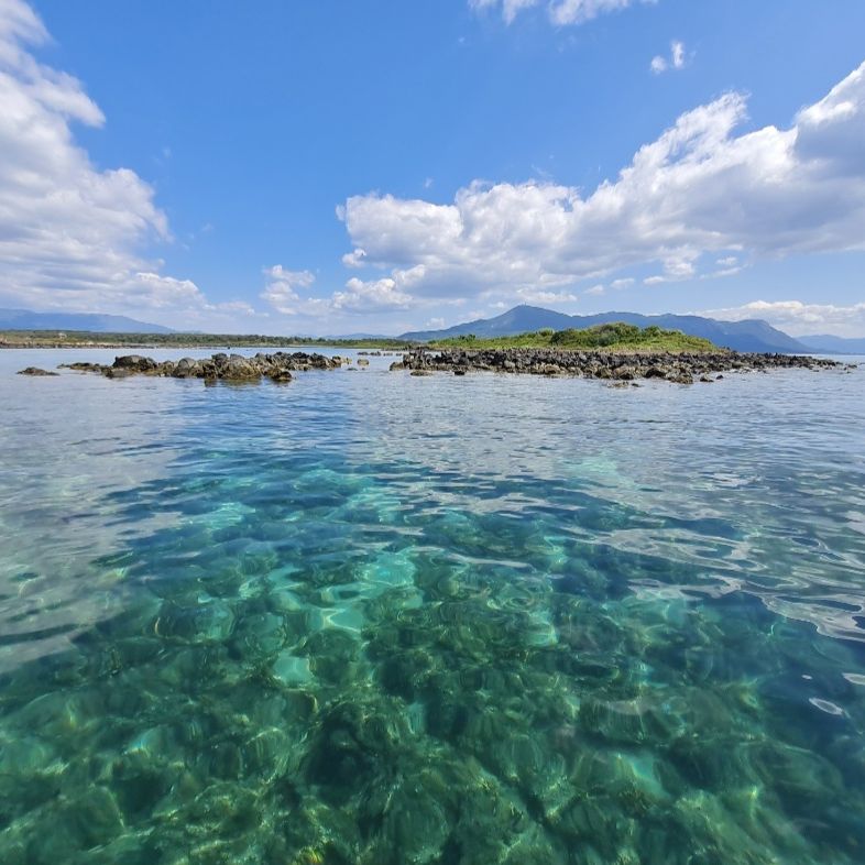 freiwilligenarbeit-griechenland-tierschutz-elli-19