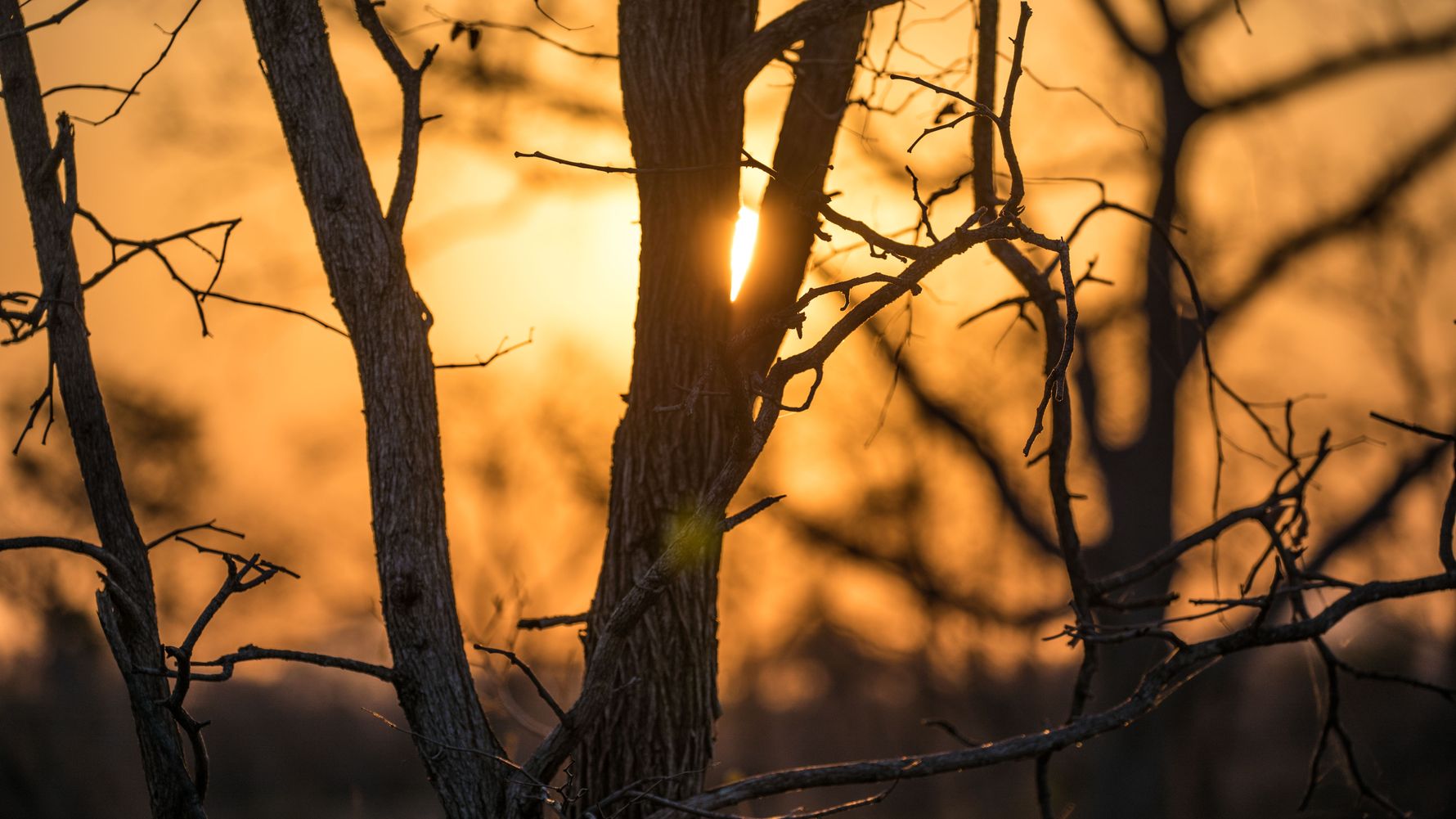 blog-sabbatjahr-steuern-sparen-im-sabbatical-sonne-natucate