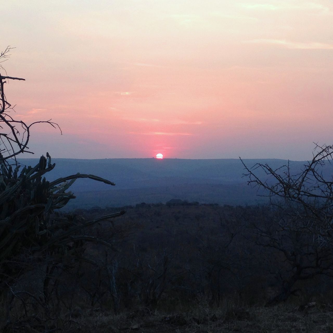 freiwilligenarbeit-suedafrika-erfahrungsbericht-kundenfotos-artenschutz-sonne-natucate
