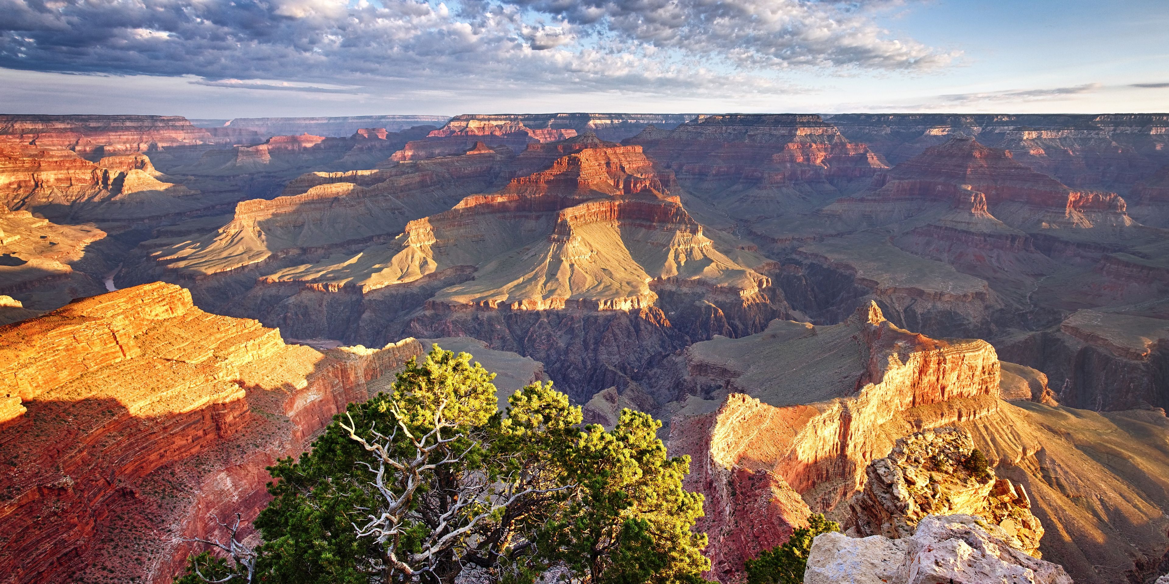 freiwilligenarbeit-usa-arizona-naturschutz-grand-canyon-natucate