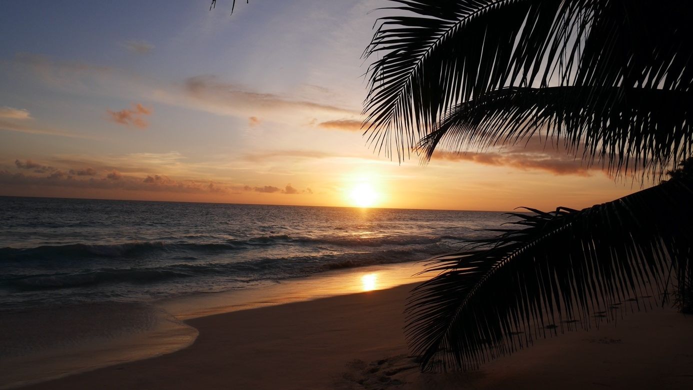 erfahrungsberichte-freiwilligenarebit-seychellen-north-island-romy-sonnenunterang-palmen
