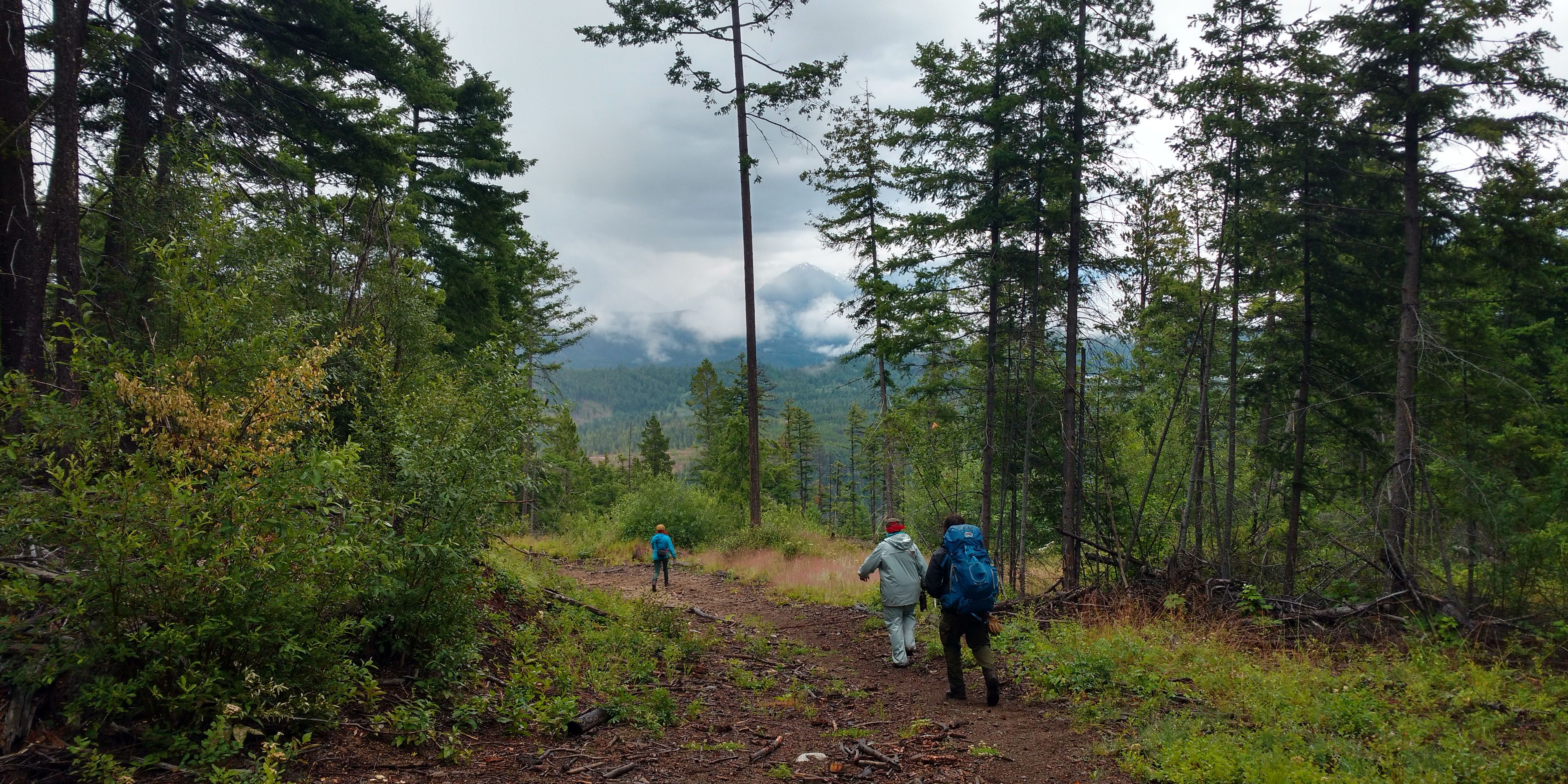natur-und-rangerkurse-kanada-nordamerika-bushcraft-survival-wanderung-natucate