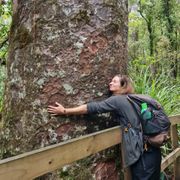 natucate-blog-review-volunteering-kauri-coast-ellie-tree-hugging