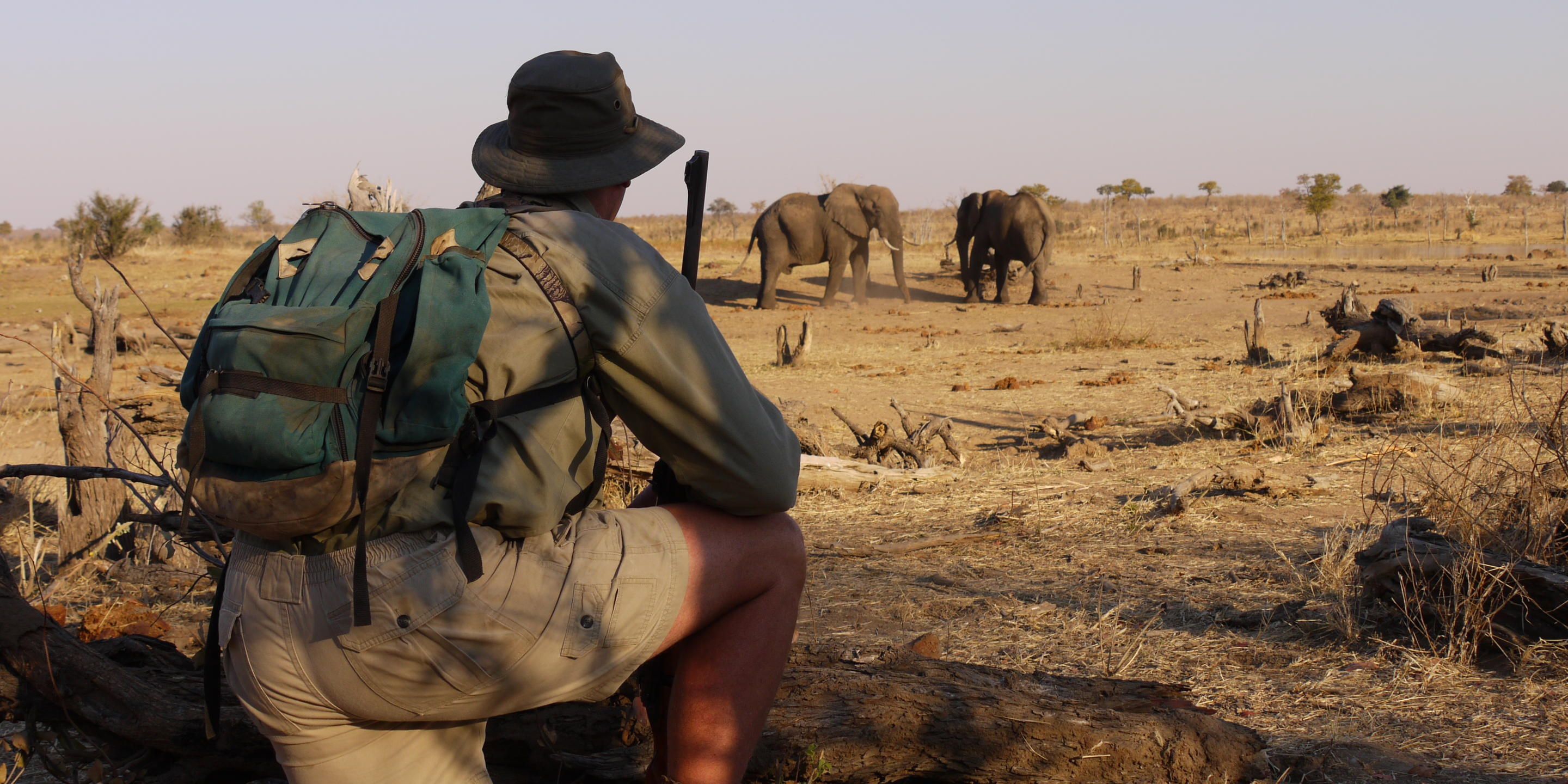 natucate-safari-zimbabwe-hwange-watching-elephants