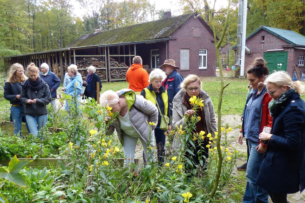 naturreise-deutschland-ostfriesland-ecotour-reisegruppe-natucate