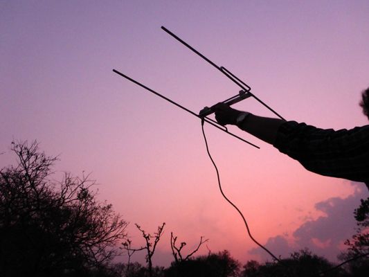 freiwilligenarbeit-suedafrika-artenschutz-projektbesuch