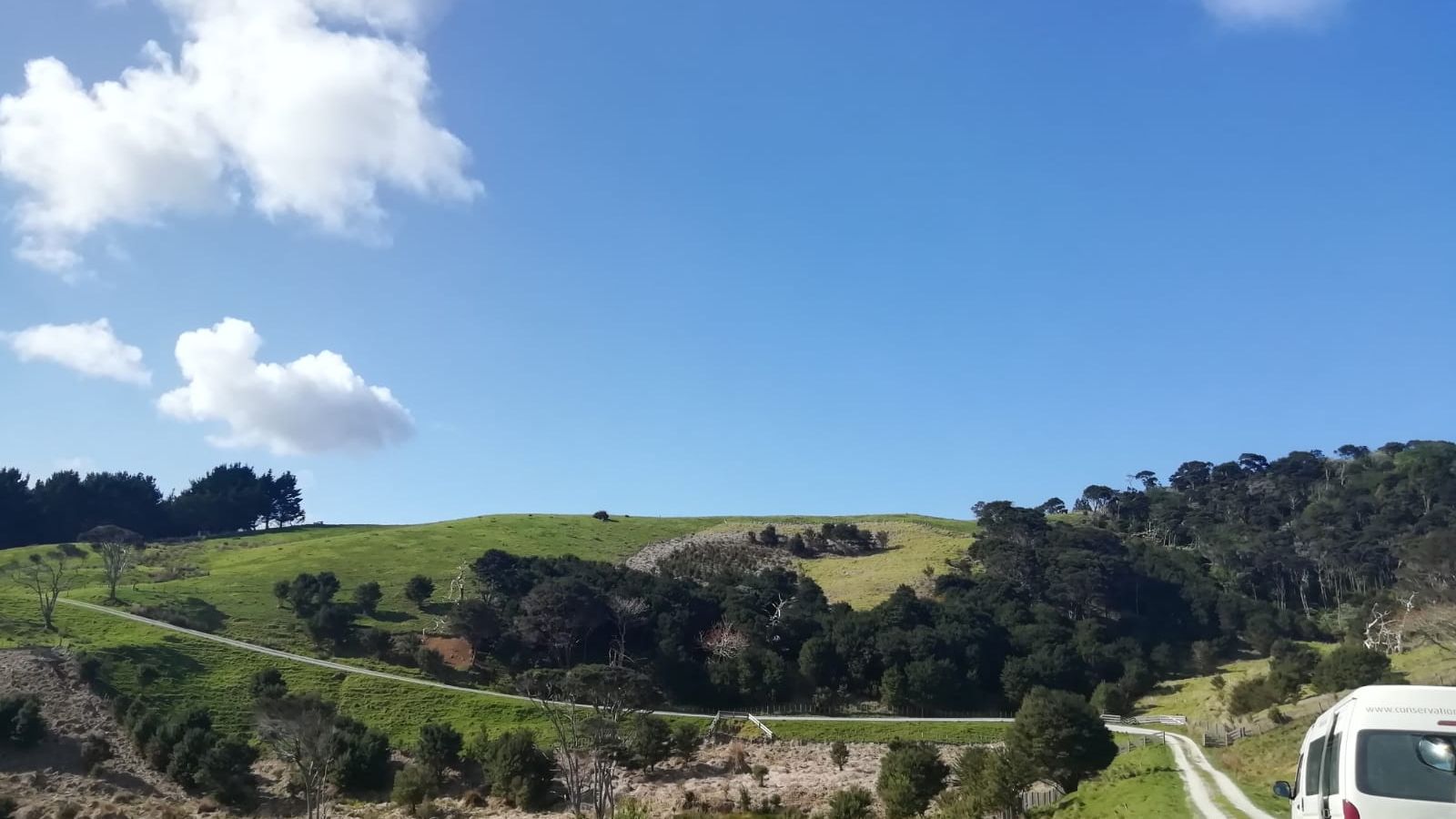 erfahrungsberichte-freiwilligenarbeit-neuseeland-latifa-sonne-landschaften
