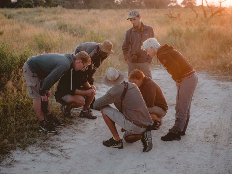 blog-ratgeber-deine-passende-naturausbildung-tracking-natucate