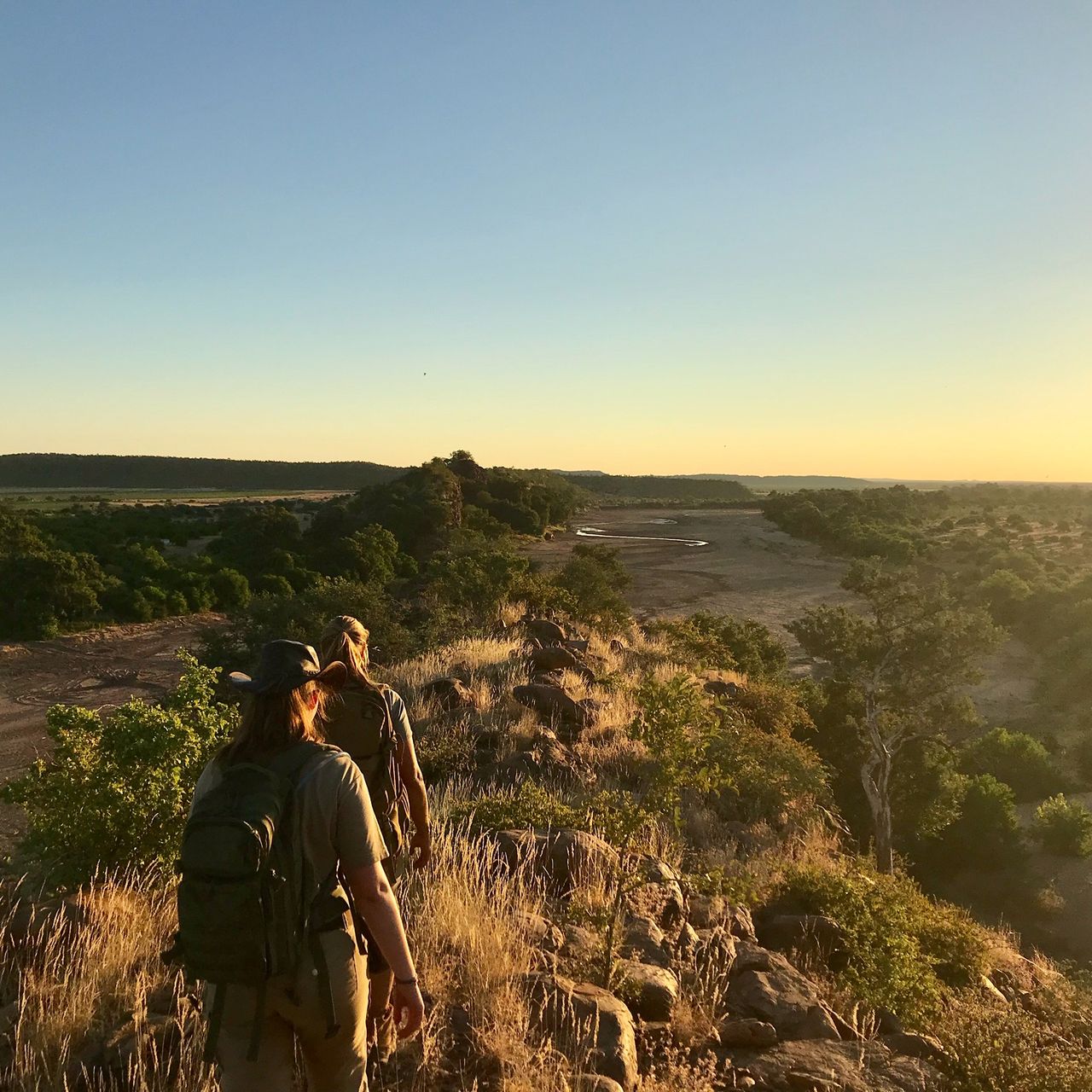 erfahrungsberichte-rangerkurse-suedafrika-field-guide-level-1-juliana-game-walk-sonnenuntergang-natucate