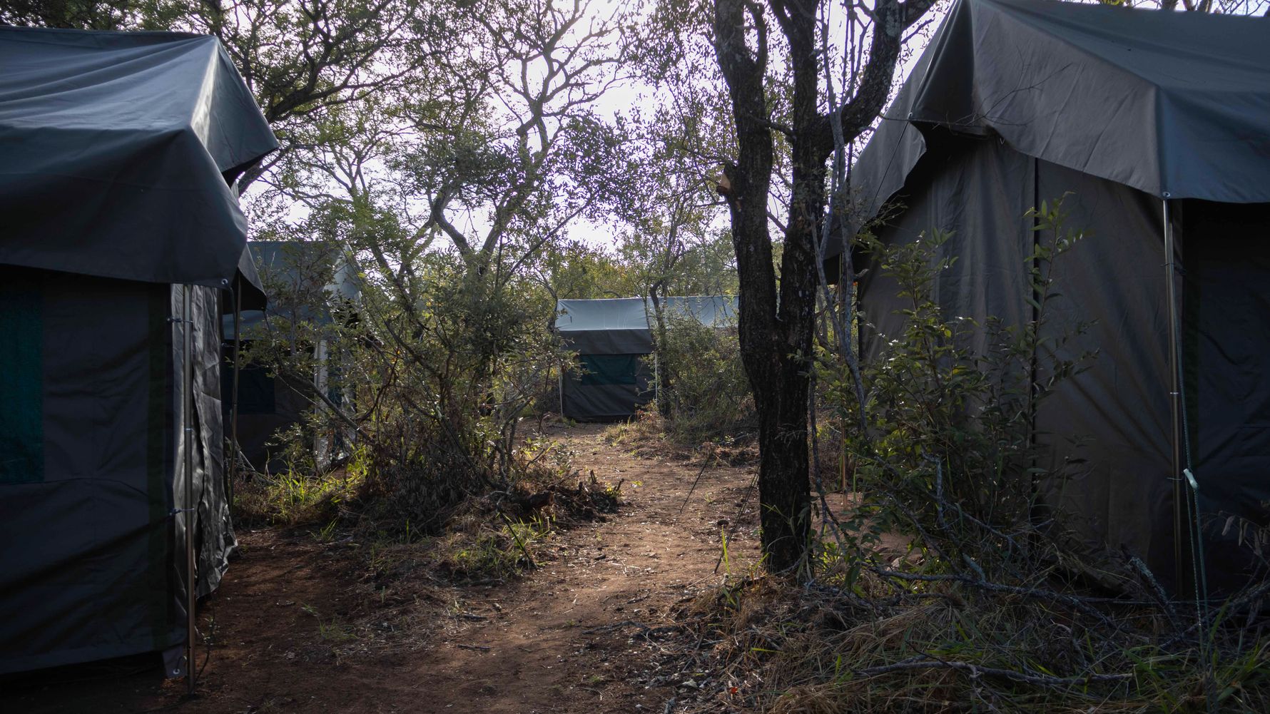 natucate-ecotraining-timbavati-camp-tented-camp