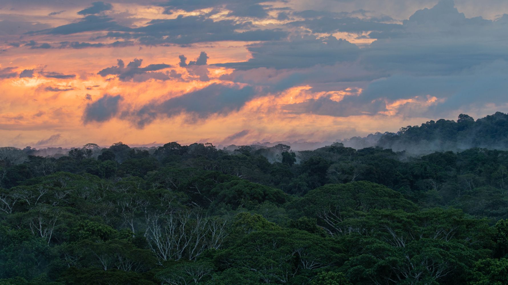blog-ratgeber-peru-amazonas-regenwald-abend-natucate